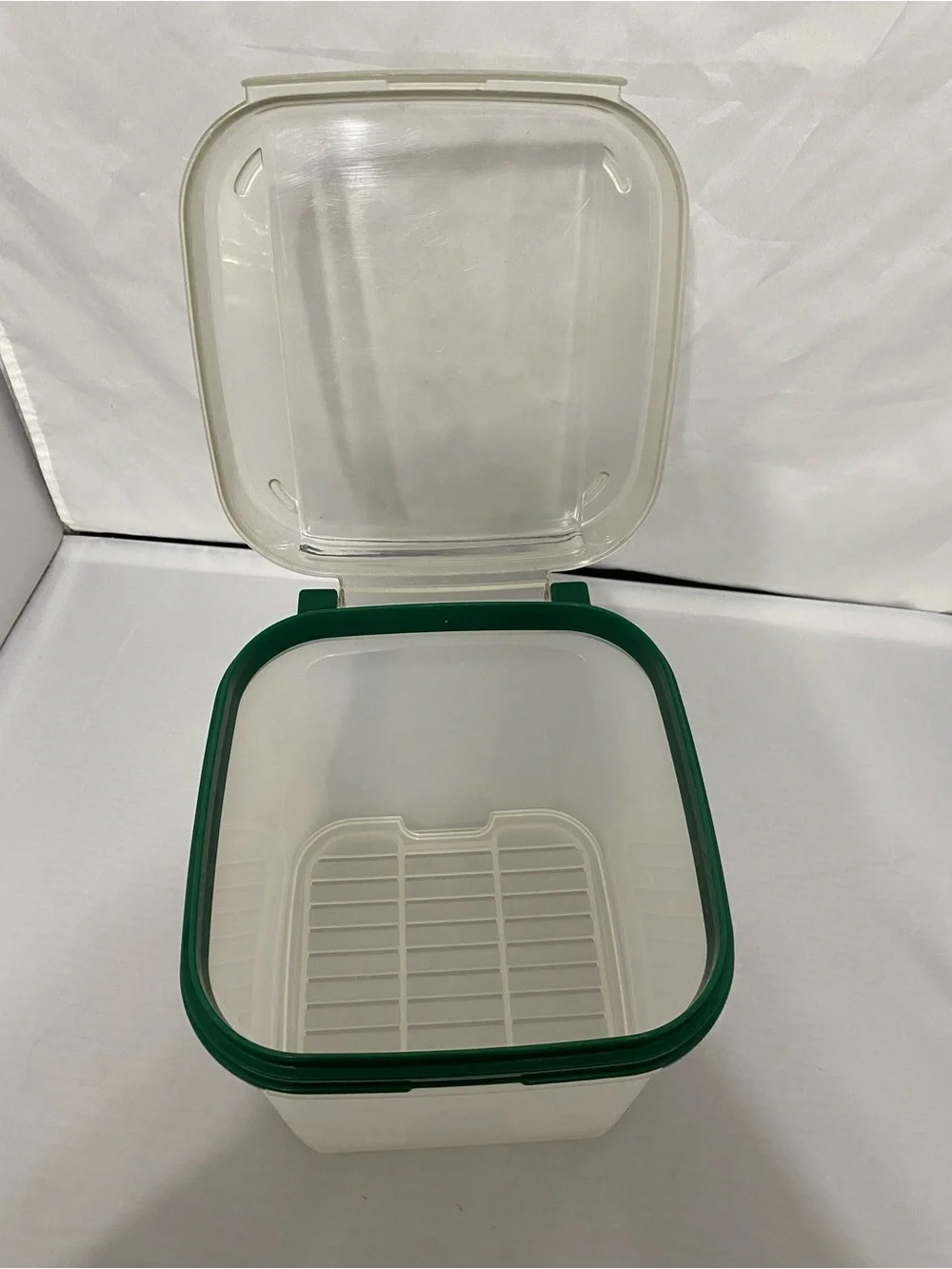 Tupperware Container with Green Rim and Flip Top Lid